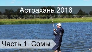 Рыбалка в Астрахани на реке Бушма. Часть 1.