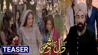 Mera Dil Mera Dushman | Teaser | Yasir Nawaz & Alizeh shah | ARY Digital Drama