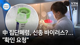 中 집단폐렴, 신종 바이러스?..."확인 요청" / YTN 사이언스