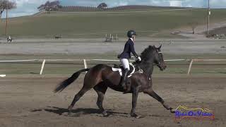 015S Madison Temkin on Kingslee Advanced Show Jumping Twin Rivers Ranch March 2018