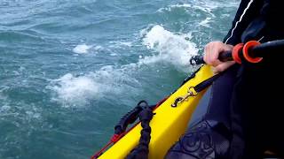 Homemade Kayak Sail Awesome Test