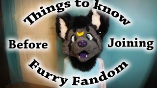 Things you should know before joining the Furry Fandom