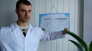 Почему не растут ГРУДНЫЕ мышцы!?