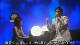 [平井堅×松下奈緒][美しい人]