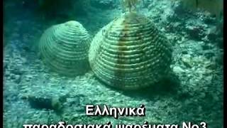 OΣΤΡΑΚΑ-SHELLS  ΕΛΛΗΝΙΚΑ ΠΑΡΑΔΟΣΙΑΚΑ ΨΑΡΕΜΑΤΑ Νο3