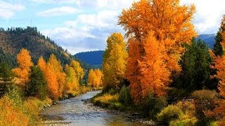 Осень плачет дождем ...