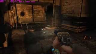 Metro 2033 Redux Max Settings 1080p R9 290