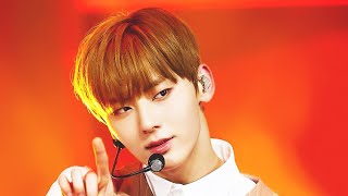 켜줘 세로직캠 교차편집 황민현 focus (stage mix)