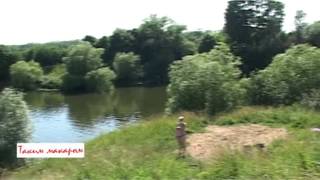 "Полимер" отравляет Щекино