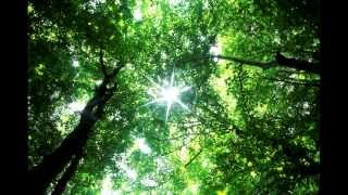 NEW CHRISTIAN PRAISE AND WORSHIP SONG! "RAIN ON ME"  www.libbyallensongs.com