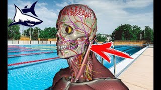 НЕ ПЛАВАЙ В БАССЕЙНЕ, ПОКА НЕ УЗНАЕШЬ ЭТО! Ошибка любительского брасса