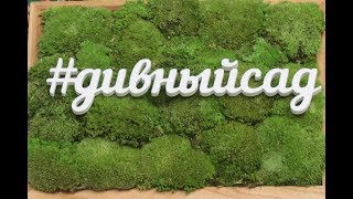 Стабилизированный мох | Мастер класс | GARDEN BOOM
