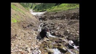 Камчатка Пущинские источники. (Kamchatka. Pushchino thermal springs.)