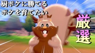 厳選&新パーティ試運転【ポケモン剣盾】