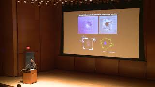 Donald Ingber's talk