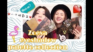 Zoeva eyeshadow palette collection | 一口气试色八盘Zoeva  | 刷色地狱