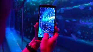 Blackview P10000 Pro Camera Low Light Perfomance, 11000mAh super battery with 5V5A fast charging