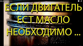 Если двигатель ест масло
