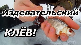 ПашАсУралмашА:-"Издевательский клёв"!