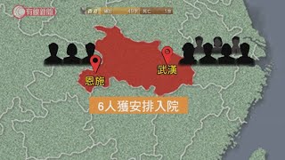 武漢肺炎 - 十名港人在湖北確診　全部已入院接受治療 - 20200212 - 香港新聞 - 有線新聞 i-Cable News