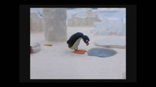 Ismo "pingu" Laitela metsästää homoja