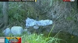 BP: Kolehiyala sa Sison, Pangasinan, ginahasa at pinatay; isang suspek, huli