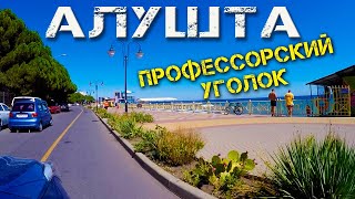 Алушта. Профессорский уголок или Рабочий? Где в Крыму растет инжир. Отдых в Алуште 2019