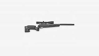 MUST SEE  Hunting Gear Review! Stoeger ATAC Gas Ram Air Rifle .177 Caliber
