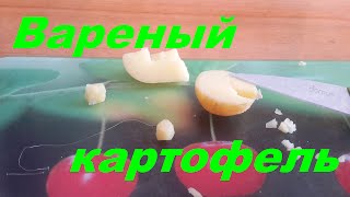 Наживка. Вареный картофель. Ловля Карпа. Насадка. Рыбалка. Fishing.