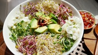 꽃으로 요리를? 아카시아 아보카도 새싹비빔밥 ( Avocado Sprout bibimbap )