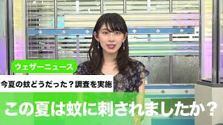 この夏は蚊に刺されましたか？今夏の蚊どうだった？調査を実施
