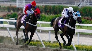 Clasico Hipodromo La Rinconada 2015