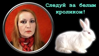 Источники Вдохновения. Алиса в Стране Чудес. Сказочное Вдохновение. Где Взять Вдохновение? ВИДЕОБЛОГ