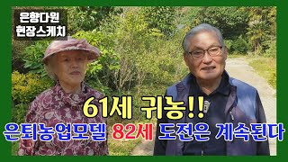 61세 귀농 82세 소득을 올리는 은향다원, 은퇴농업의 모델, 20년 가치를 만드는 도전은 계속된다
