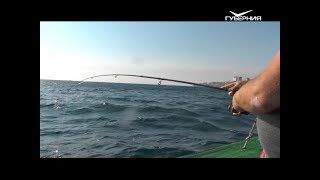 Рыбачим в Анапе. Рыбацкое счастье от 11.09.2018