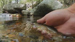 ISAAC | Pêche de la truite en Ardèche | 2