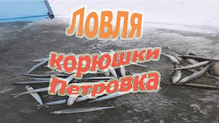 Ловля корюшки Петровка . Зимняя рыбалка в приморье 2019
