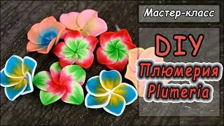 DIY ❤ Плюмерия из полимерной глины ❤ Лепка цветов ❤ Polymer clay tutorial ❤