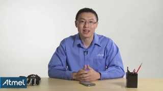 Atmel: maXTouch T-series Touchscreen Controller Stylus and Glove Touch Demo