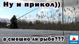 Он пришёл смешить рыбу или рыбе не смешно? Летняя удочка зимой! mp4