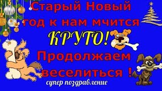 Прикольное поздравление со старым новым годом 2020 видео на старый новый год