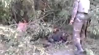+18 Разбитая колонна чеченских боевиков под Мариуполем 06 09 14