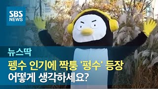 펭수 패러디 '펑수' 등장에 엇갈린 반응 / SBS / 뉴스딱