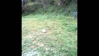 Come calciare le punizioni alla messi