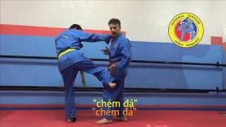 Phản Đòn Chân - Integral Vovinam Tutorial 23