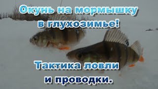 Ловля окуня на кивок в глухозимье. Проводки и тактика ловли / Подводные съемки