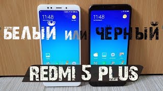 Redmi 5 Plus, ЧЁРНЫЙ или БЕЛЫЙ? Выбираем бюджетник от Xiaomi \\ ПОМОЖЕМ