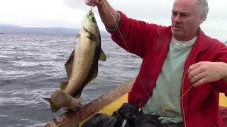 Three Ways To Cook Pollock (Includes How To Catch, Gut, Fillet And Skin Pollock!)
