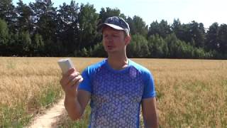 Проверка радиации на Репинском болоте (недалеко от города Пучеж, ивановской области).