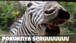 Duo Kunyah Njajals - Main ke Taman Safari Bogor